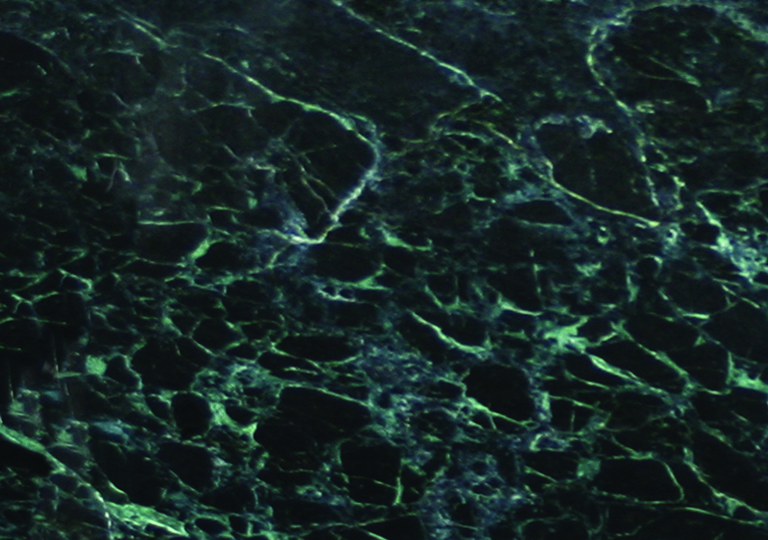 Verde Assoluto